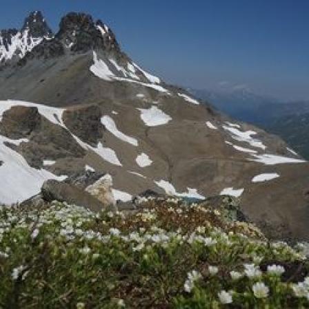 Wandern in der Silvretta: Gletscherblick