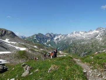Steinbocktour durch die Allgäuer Alpen: Allgäuer Gebirgsblumenwelt