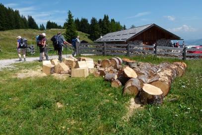 E5 Bozen - Trient: Holz an der Hornalpe
