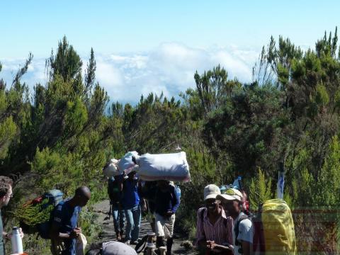 Kilimanjaro Besteigung - Die Küchenmannschaft auf dem Weg zum zweiten Camp