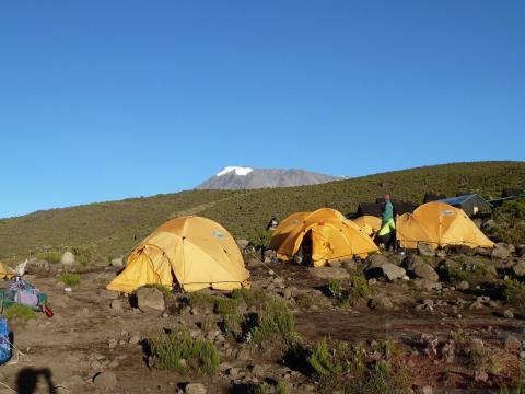 Kilimanjaro Besteigung - Morgenstimmung in Horombo