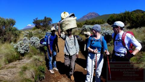 Kilimanjaro Besteigung - Abstieg von Horombo nach Mandara