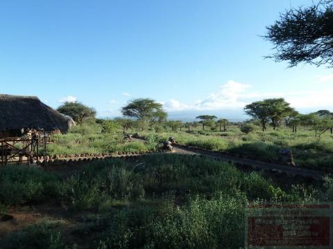 Kilimanjaro Besteigung - Morgenstimmung im Safari Camp
