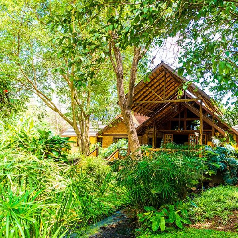 Klimanjaro Arumerulodge 2