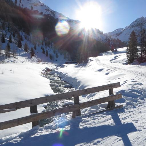 Skitouren Pustertal: Faszination Winter