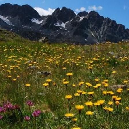 Wandern in der Silvretta: Gletscher, Blumen und Berge