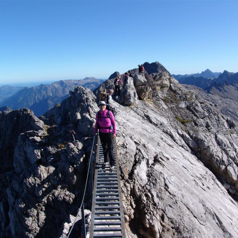 Heilbronner Höhenweg: Leiter auf dem Heilbronner
