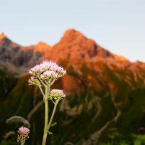 E5 Alpenüberquerung Bergschule Oberallgäu: Abendrot