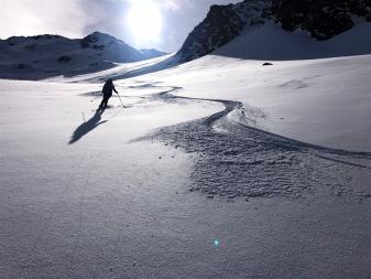Skitouren Pustertal:  Powder Abfahrt