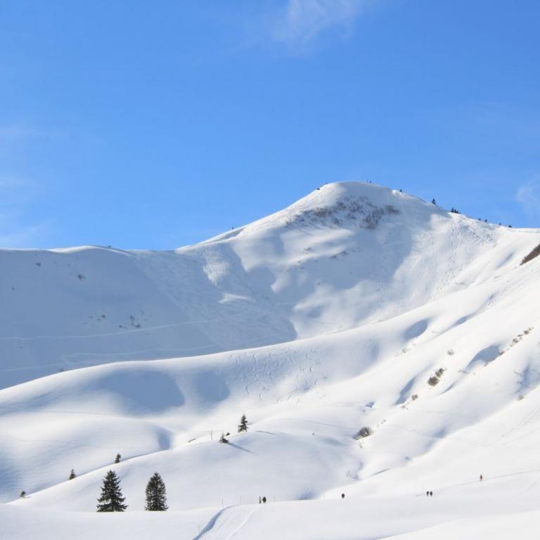 Schneeschuhwandern Hörnerkette: Aufstieg zum Riedberger Horn
