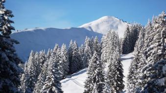 Schneeschuhwandern in den Allgäuer Alpen