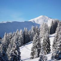 Schneeschuhwandern in den Allgäuer Alpen