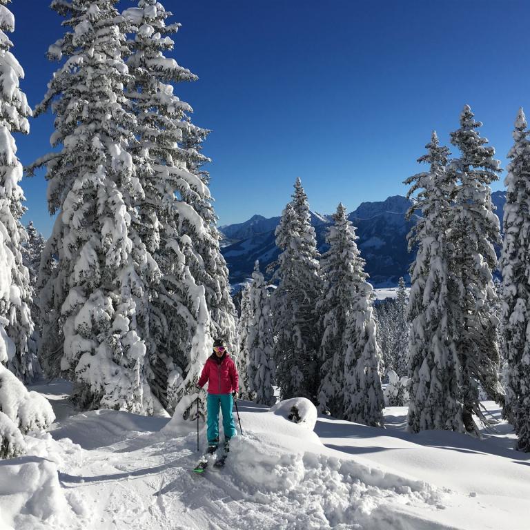 Skitouren gehen lernen - der Wochenkurs:  Faszination Winter und Tourengehen