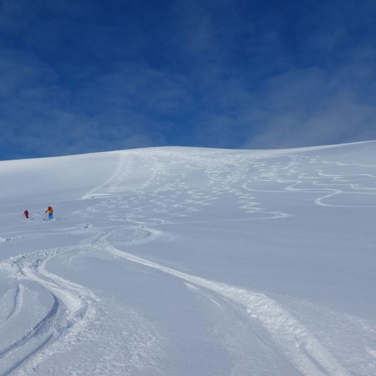 Skitouren mit Schiff Norwegen: Abfahrt im Pulverschnee